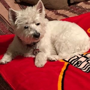 Meet your Posher, Renee